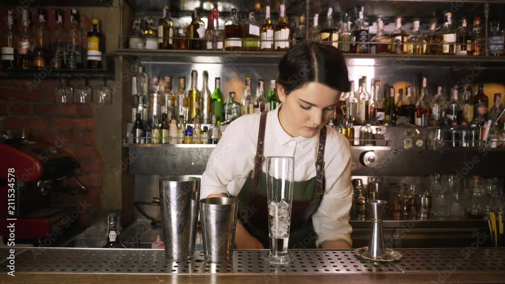 The Bartender Makes a Cocktail The Bartender Makes a Cocktail