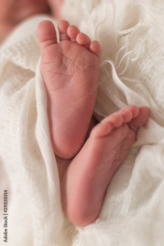 newborn baby feet newborn baby feet