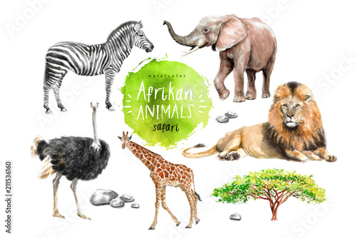 watercolor illustration of wildlife in Africa: zebra, lion, ostrich, elephant, giraffe, southern savannah wood and stones, a set of drawings from the hands of animals in the zoo