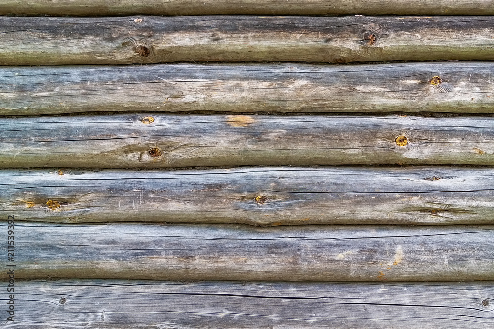 Old Log Old Log