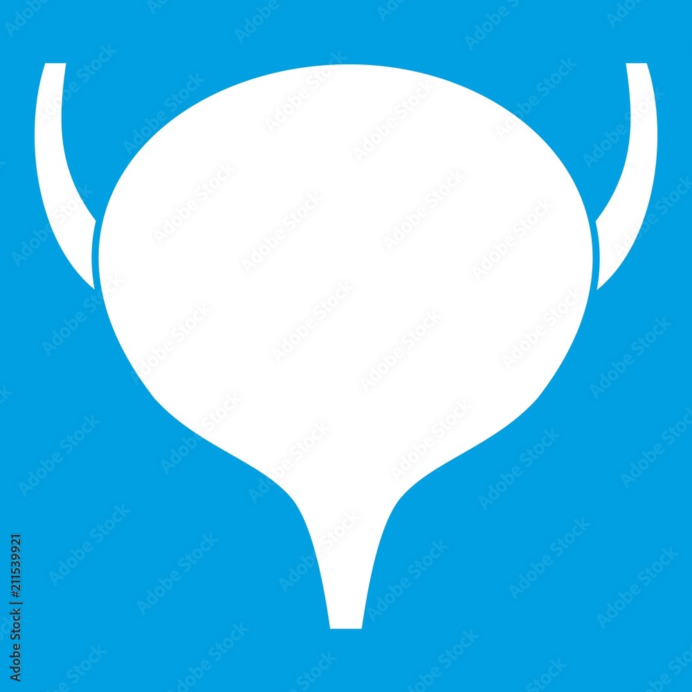 Bladder icon white isolated on blue background vector illustration Bladder icon white isolated on blue background vector illustration