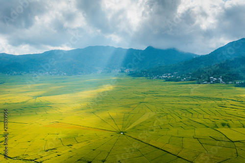 Aerial view of Lingko Spider Web Rice Fields while sunlight piercing through clouds to the ground, Meler, Ruteng, Manggarai Regency, Flores, East Nusa Tenggara, Indonesia photo