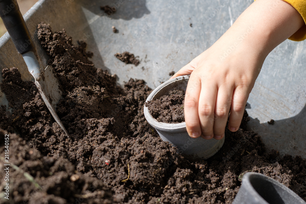 Black soil and flower pots intended for flower growing. Transplanting plants in a home garden. Black soil and flower pots intended for flower growing. Transplanting plants in a home garden.