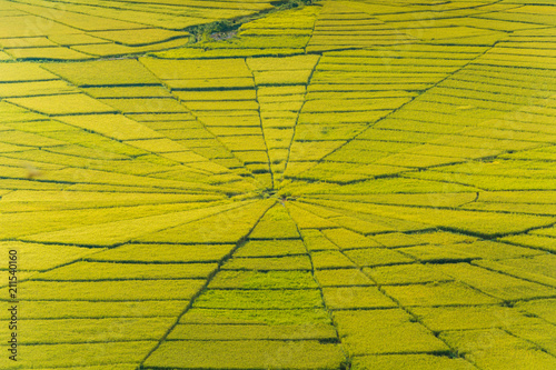 Aerial view of Lingko Spider Web Rice Fields, Meler, Ruteng, Manggarai Regency, Flores, East Nusa Tenggara, Indonesia photo