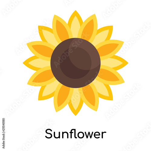 Sunflower icon vector sign and symbol isolated on white background, Sunflower logo concept