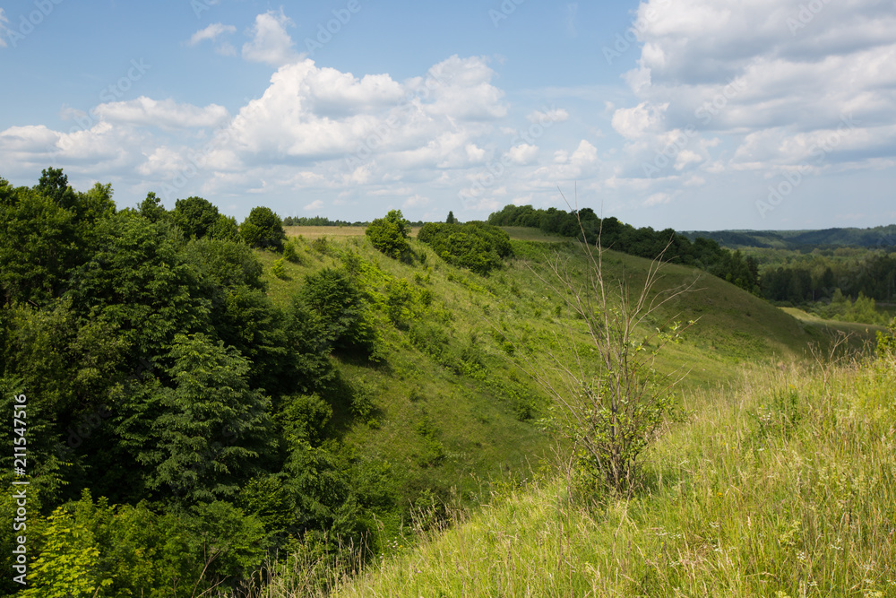 Green summer landscape