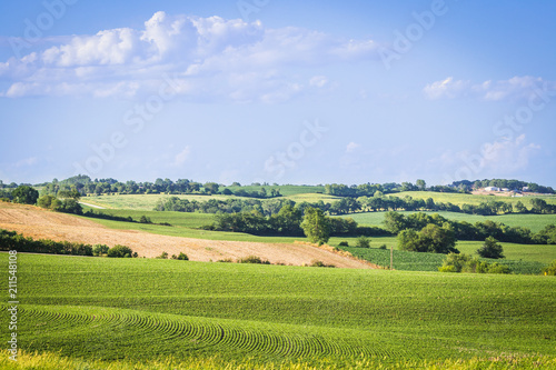 Fototapeta Naklejka Na Ścianę i Meble -  Nebraska Landscape