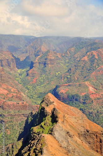 Принти на полотні The Waimea Canyon another view
Known as the Grand Canyon of the Pacific, the ca