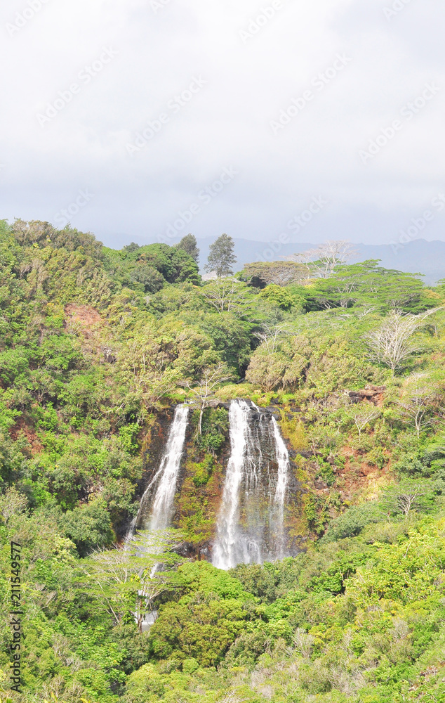 Opaekaa Falls
The Falls drop 151 feet  and are a highlight of Kauai 