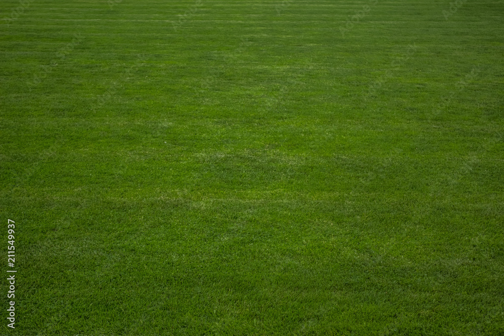 Naklejka synthetic football field green grass background texture concept with empty space for copy or text