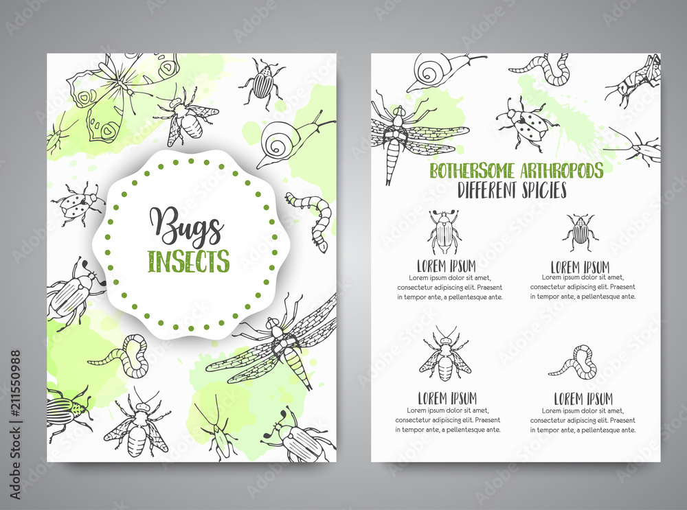 Bugs insects hand drawn banner. Pest control concept. Entomology poster Cartoon illustration of pests and bug. Vector illustration concept