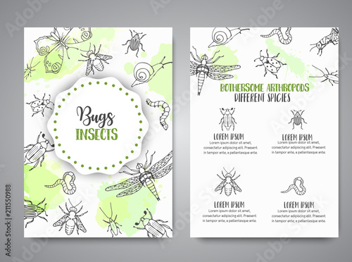 Bugs insects hand drawn banner. Pest control concept. Entomology poster Cartoon illustration of pests and bug. Vector illustration concept