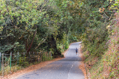 Lone Hiker on Paved Path, Sawyer Camp Trail, San Mateo, California