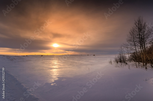 Fototapeta Naklejka Na Ścianę i Meble -  Frozen Sunrise