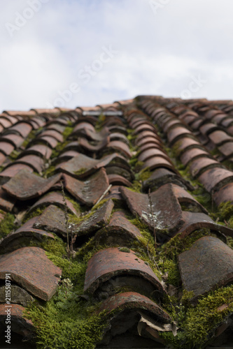 Roof tiles © paula sierra