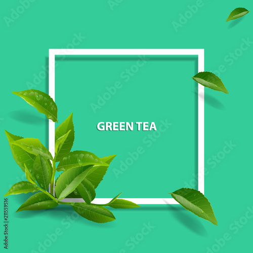 green tea cup brochure, banner,  leaves vector.