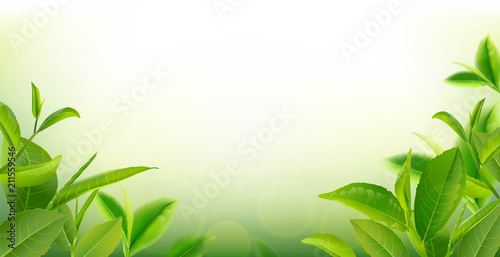 green tea leaves in motion on sky background.