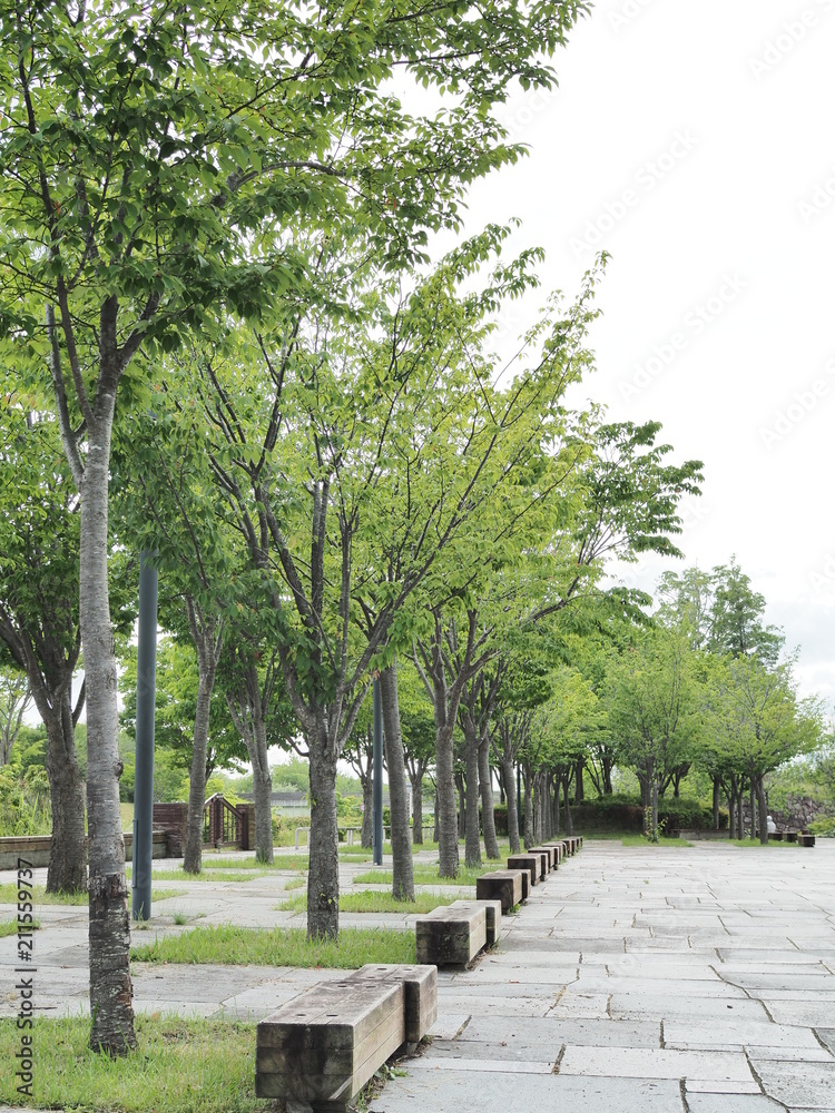 Naklejka premium 気持ちの良い公園のベンチ