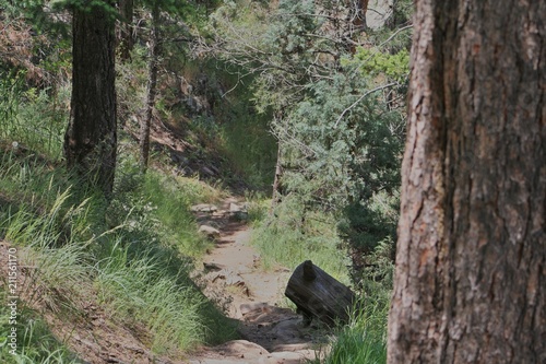 Trail