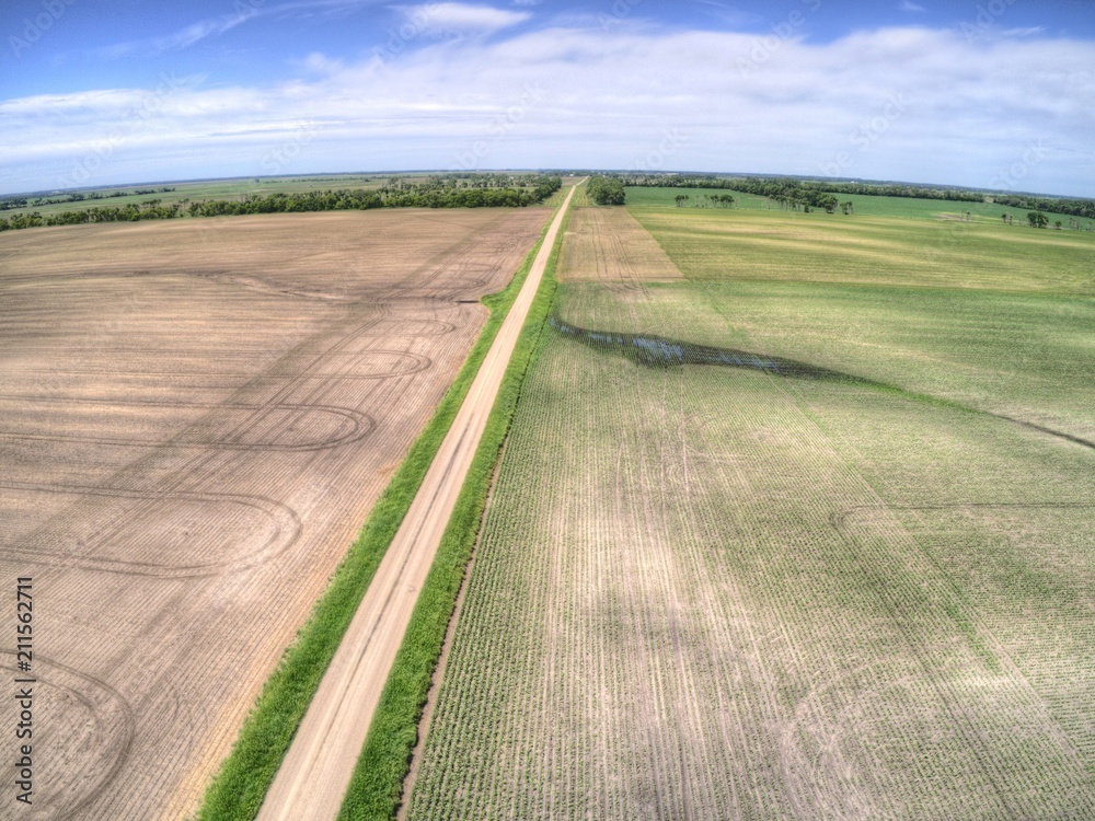 Farm Fields in Rural North Dakota, United States of America