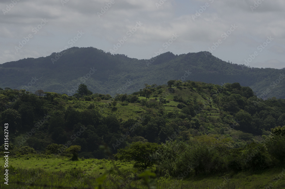 Naklejka premium Cree Sky