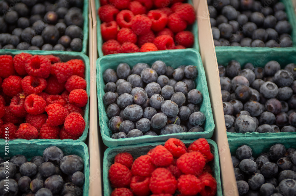Blue Berry and Raspberry Baskets