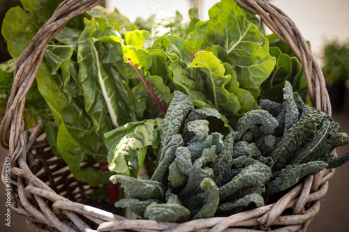 Basket of Organic vegetables - Kale and Collard Greens