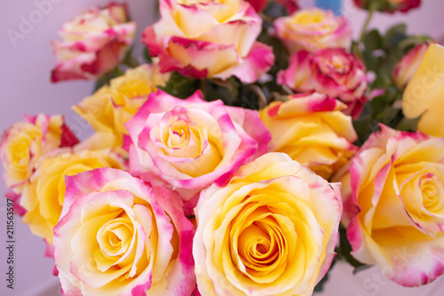 Bouquet. Yellow roses with a red frame