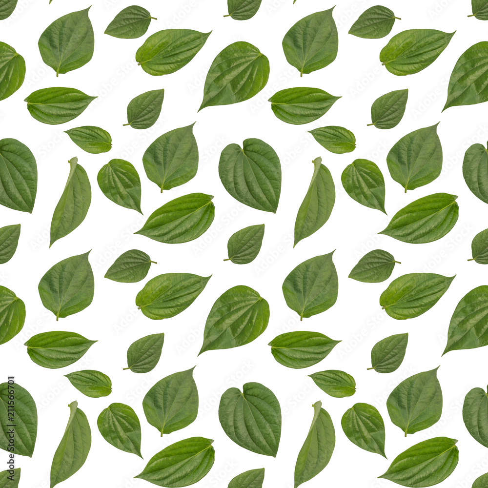 Isolated betel leaf seamless pattern in white background Isolated betel leaf seamless pattern in white background