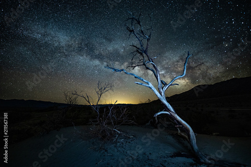 Slika na platnu Death Valley Milky Way