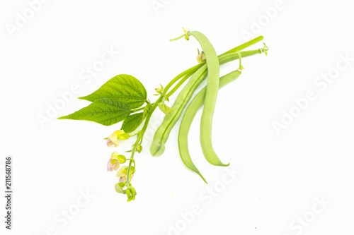Green beans with leaves and flower, black-eyed beans, black eyed pea pods, cowpea, object isolated on white background