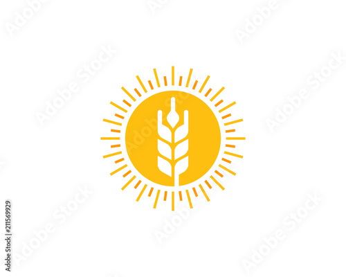 Wheat Sun Logo Icon Design Element