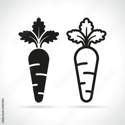 two carrots on white background