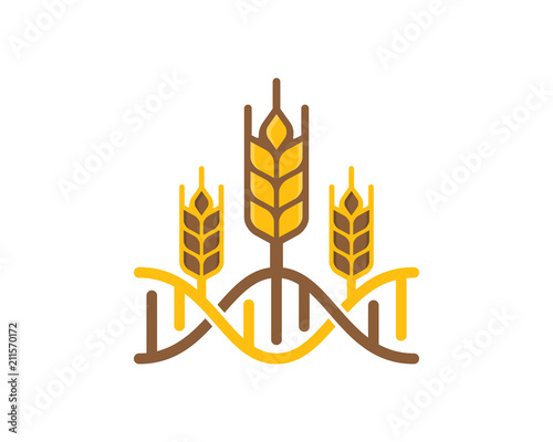 Wheat Dna Logo Icon Design Element