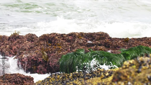 Waves crashing against rocks