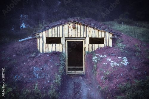 Lodgings blend in with nature. Unfinished dugout, hut in the forest. photo