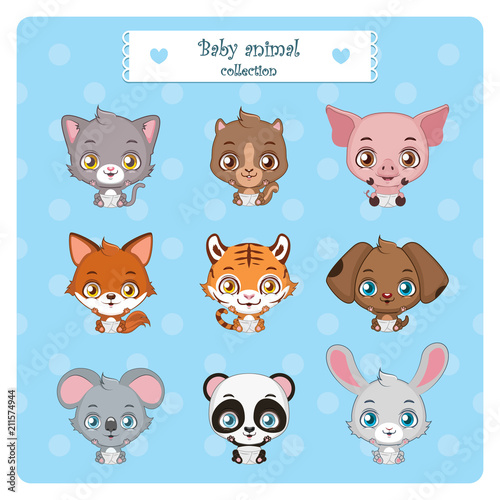 Collection of cute baby animals
