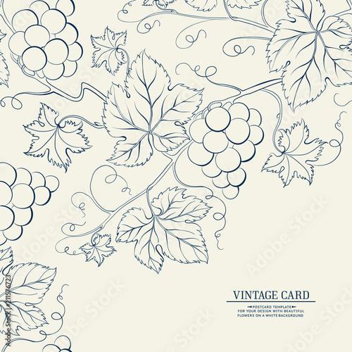 Grapes design for wine menu. Wine list label. Vector illustration.