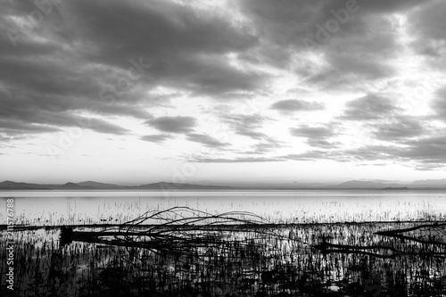 Moody lake shore at sunset  with sun light reflecting on water  and skeletal trees