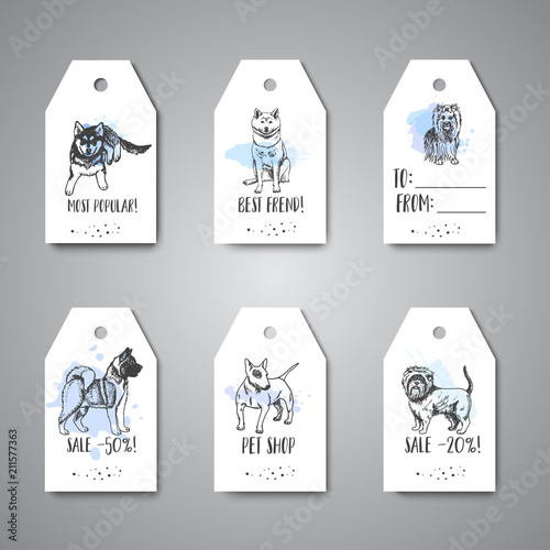 Hand drawn dogs breeds gift tag. Sketch of dog on hanging. French bulldog, dachshund, Husky, Terrier Vector illustration for pet shop, price card, stickers