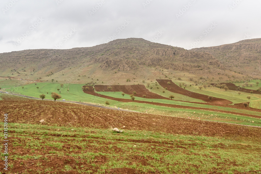 Fototapeta premium Nature landscape in Lorestan Province. Iran
