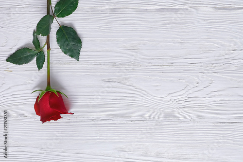 Red rose on the wooden table top. Minimalism and space for text, greeting or message