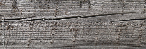 Wood pine texture. 