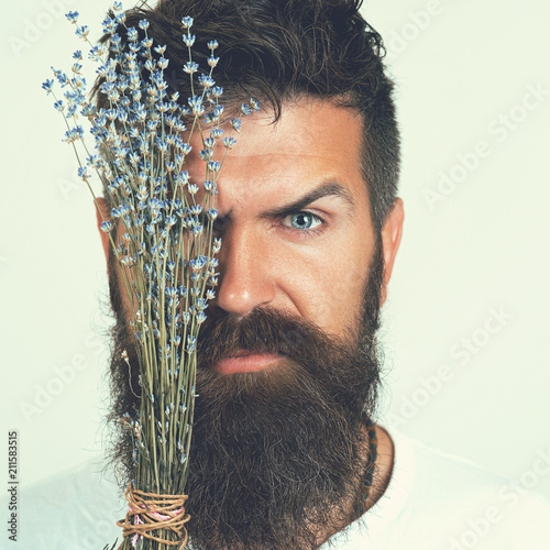 Portrait of seriously brutal bearded man with lavender flowers. Spa Man with Lavender Flowers.Organic Cosmetics. Beautiful Young Man Wity Beard. Perfect Skin. Skincare. Beard Care. Smell Lavender photo