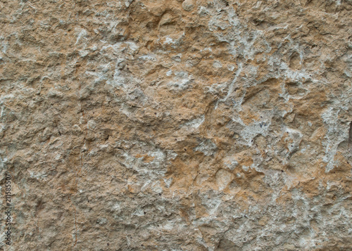 natural stone slab texture lime rock