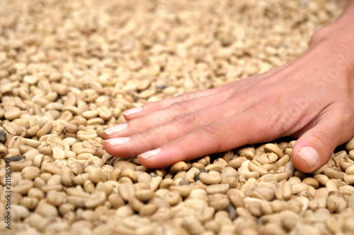 Close-up of a hand touching a handful of coffee beans raw to smell and consistency. Concept of: relaxation, aroma and perfumes.