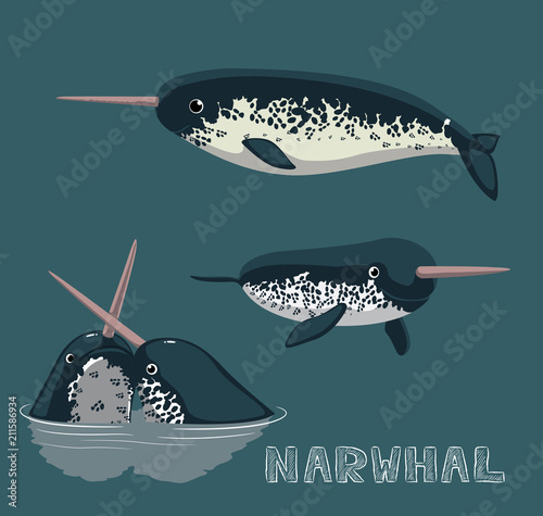 Narwhal Cartoon Vector Illustration