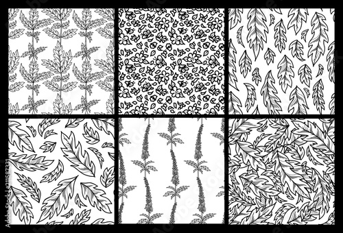 Vector seamless set of black and white floral patterns.