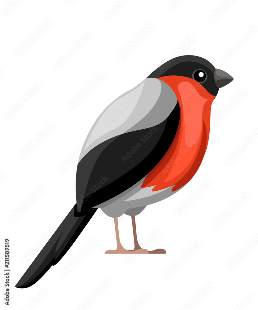 Bullfinch bird. Flat cartoon character design. Colorful bird icon. Cute bullfinch Christmas robin bird. Vector illustration isolated on white background Stock Vector | Adobe Stock Bullfinch bird. Flat cartoon character design. Colorful bird icon. Cute bullfinch Christmas robin bird. Vector illustration isolated on white background Stock Vector | Adobe Stock