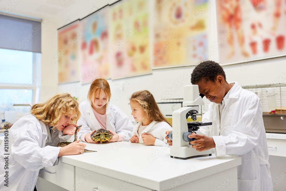 Kinder Der Biologie Klasse Im Labor Stock Photo | Adobe Stock